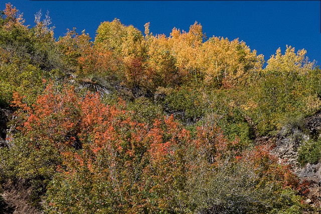 Stewart Falls Trail 19-0050.jpg